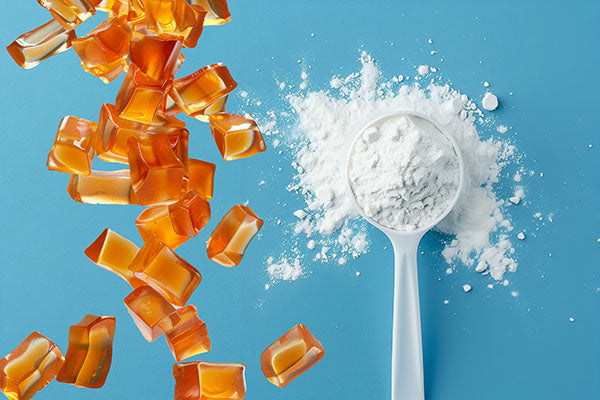 Creatine gummies vs powder